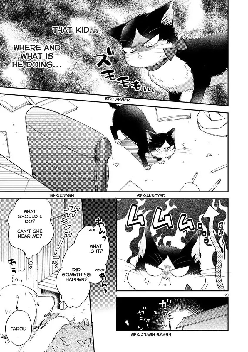 Page 4 of Chapter 13.1