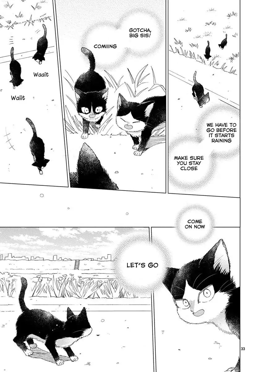 Page 8 of Chapter 13.1