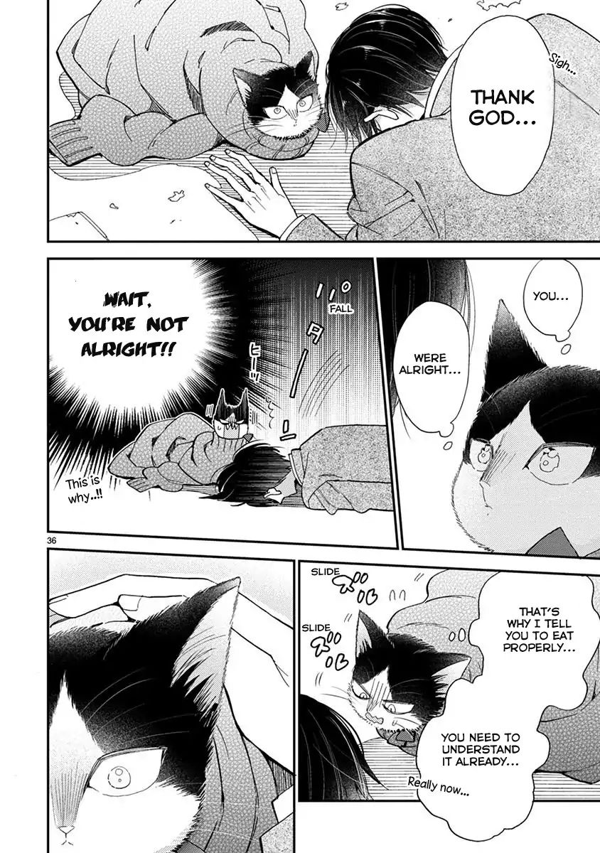 Page 11 of Chapter 13.1