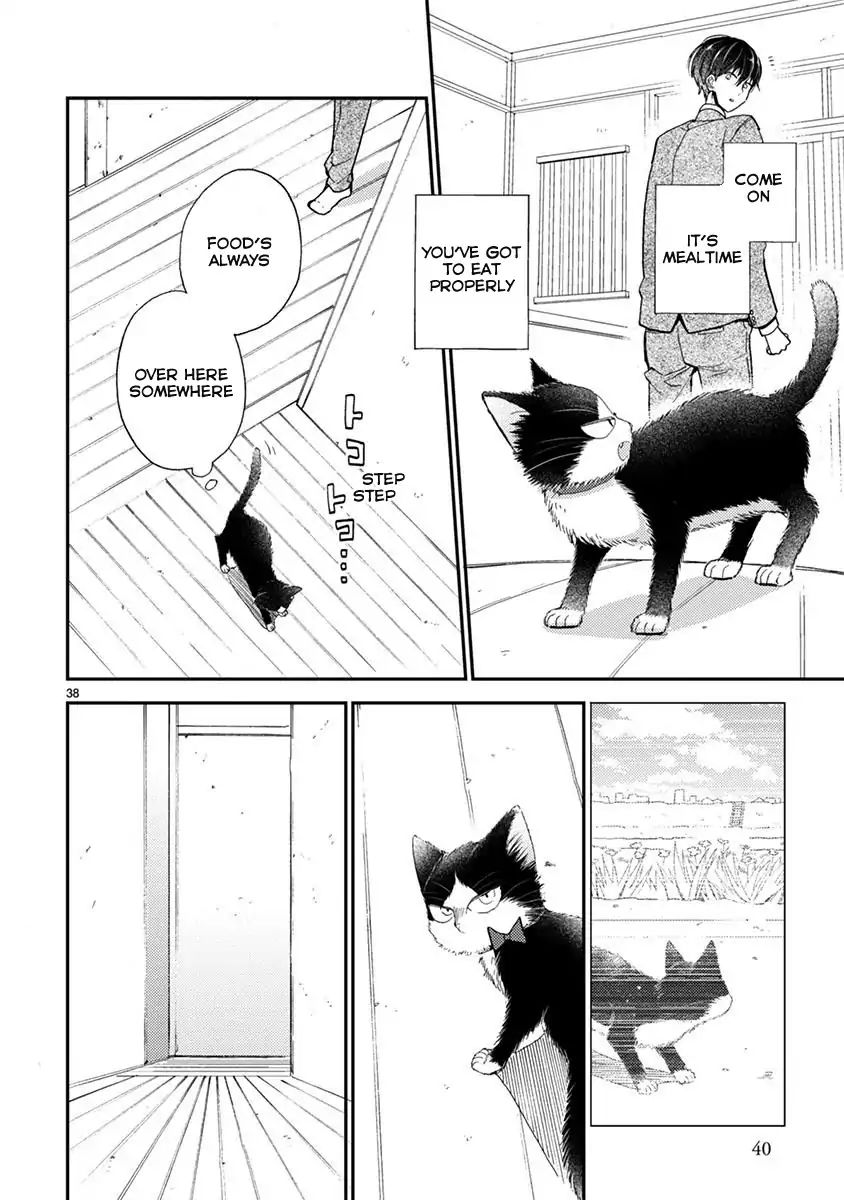 Page 13 of Chapter 13.1