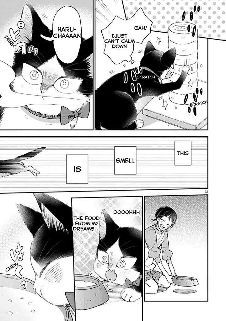 Page 8 of Chapter 14.2
