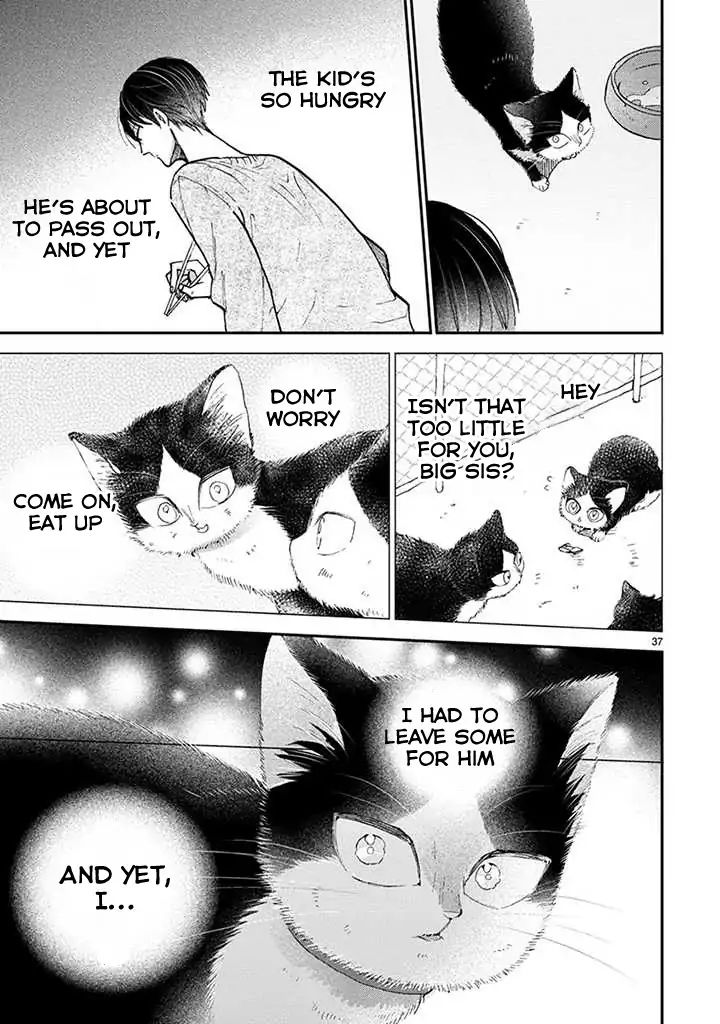 Page 10 of Chapter 14.2