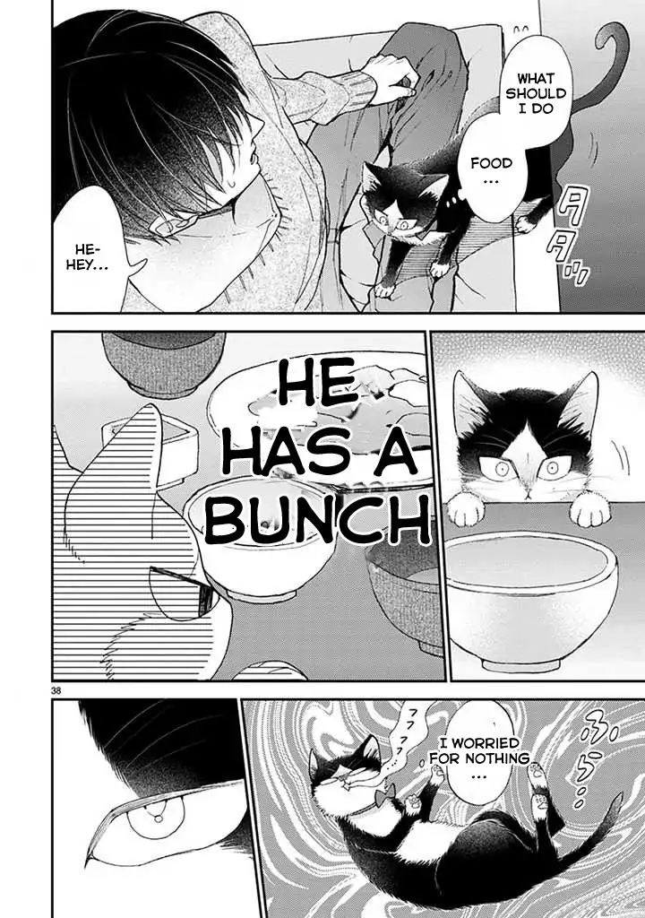 Page 11 of Chapter 14.2