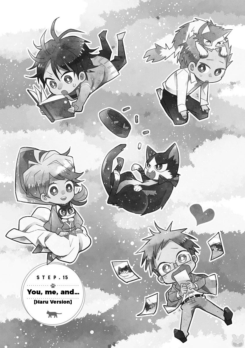 Page 4 of Chapter 15.2