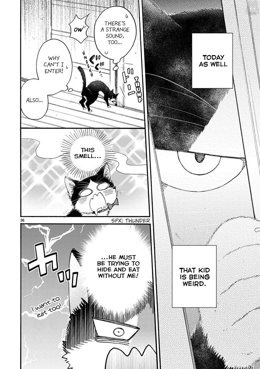 Page 5 of Chapter 15.2