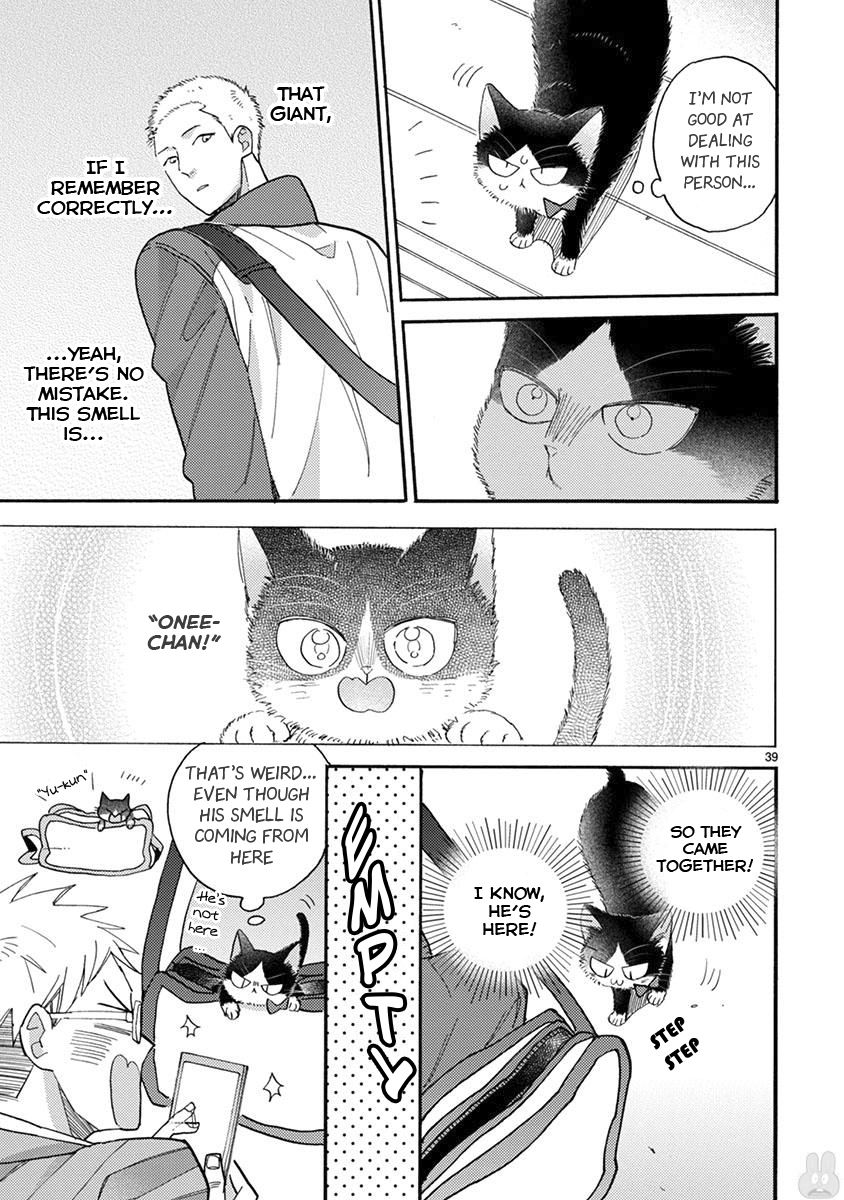 Page 8 of Chapter 15.2