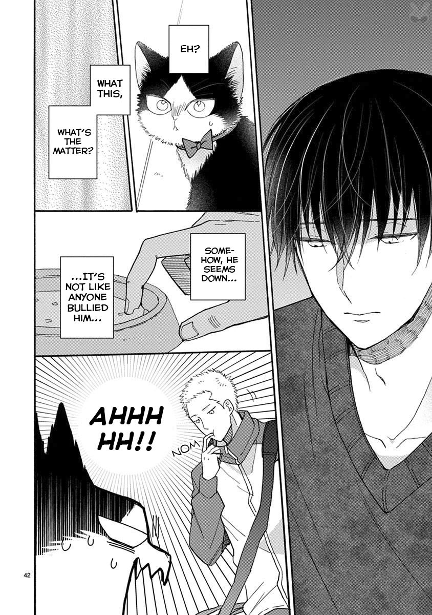 Page 11 of Chapter 15.2