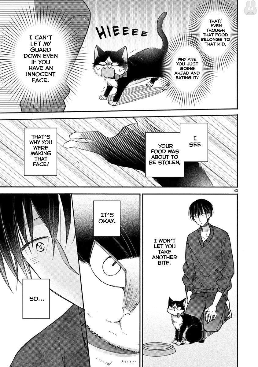Page 12 of Chapter 15.2