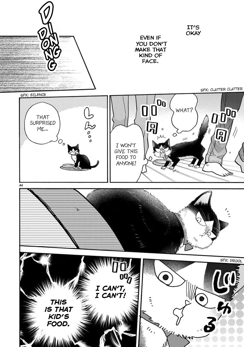 Page 13 of Chapter 15.2