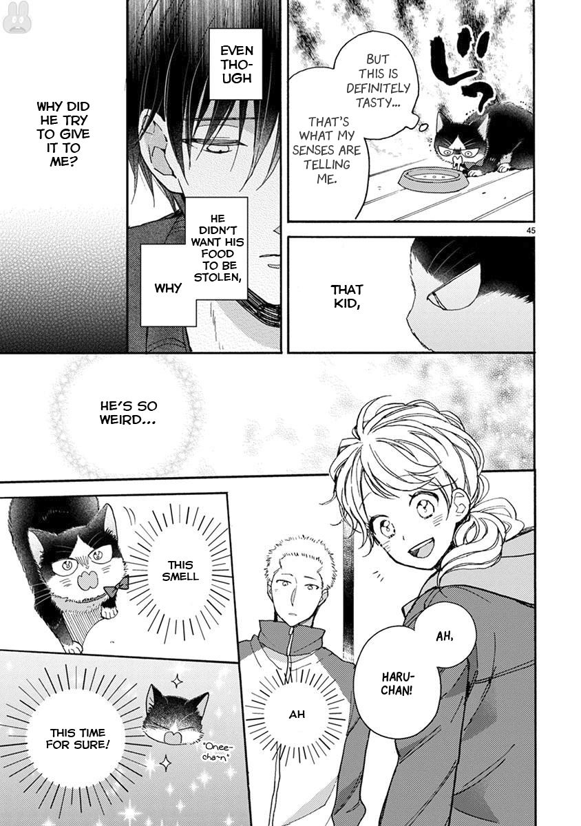Page 14 of Chapter 15.2