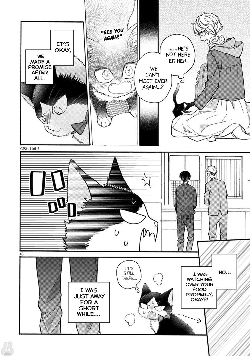 Page 15 of Chapter 15.2