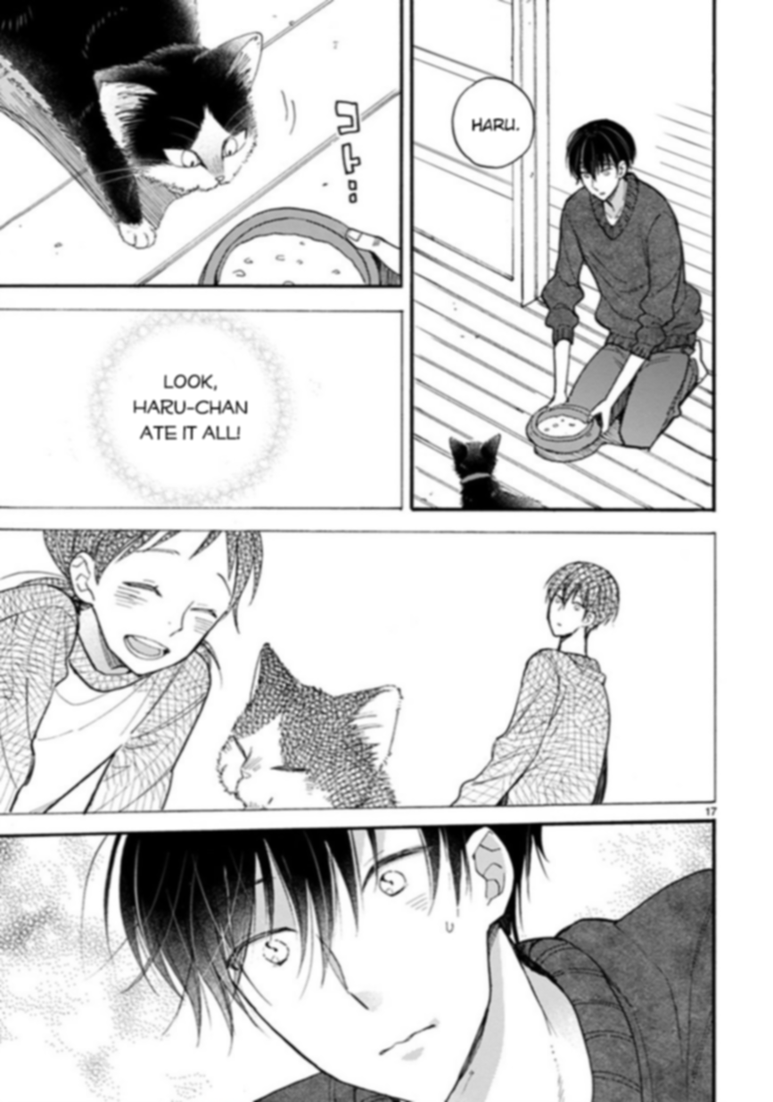 Page 17 of Chapter 15