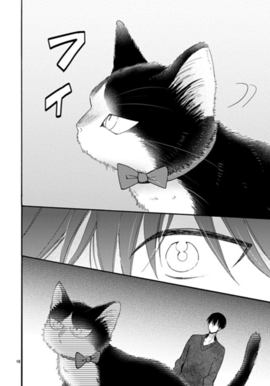 Page 18 of Chapter 15