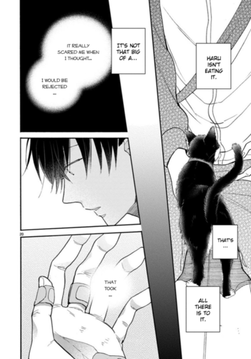 Page 20 of Chapter 15