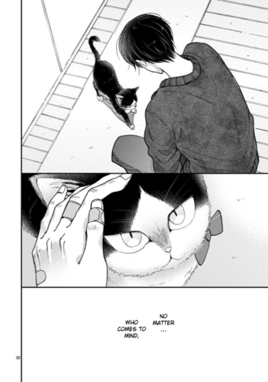 Page 31 of Chapter 15