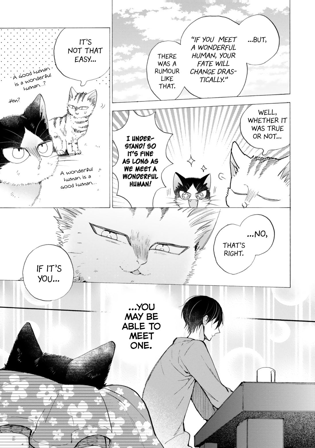 Page 11 of Chapter 16.4