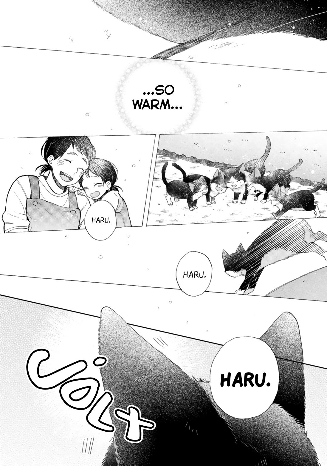 Page 14 of Chapter 16.4
