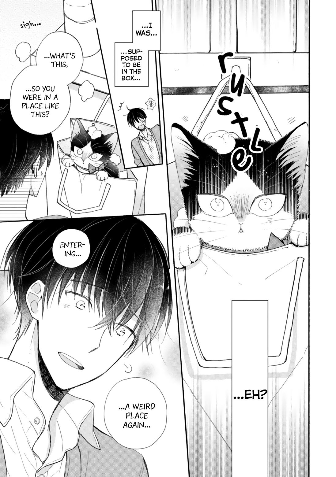 Page 15 of Chapter 16.4