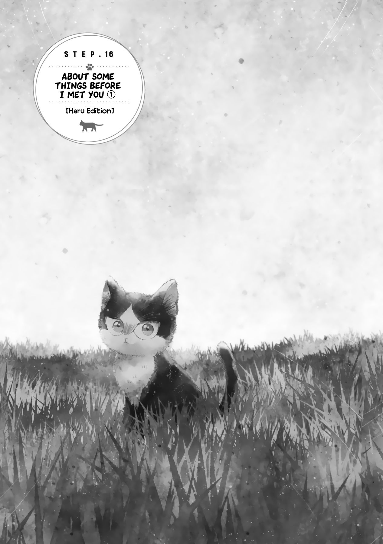 Page 5 of Chapter 16.2