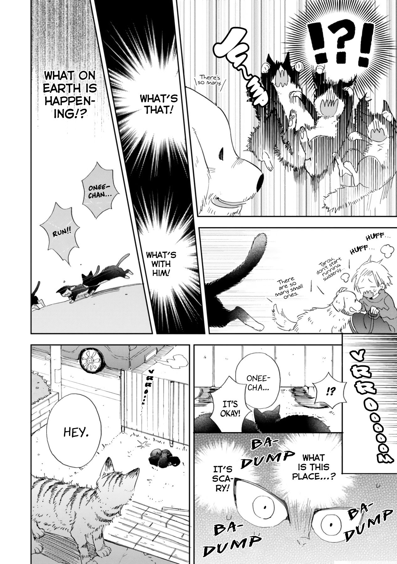 Page 8 of Chapter 16.2