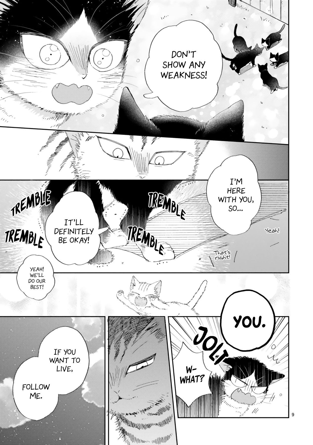 Page 11 of Chapter 16.2