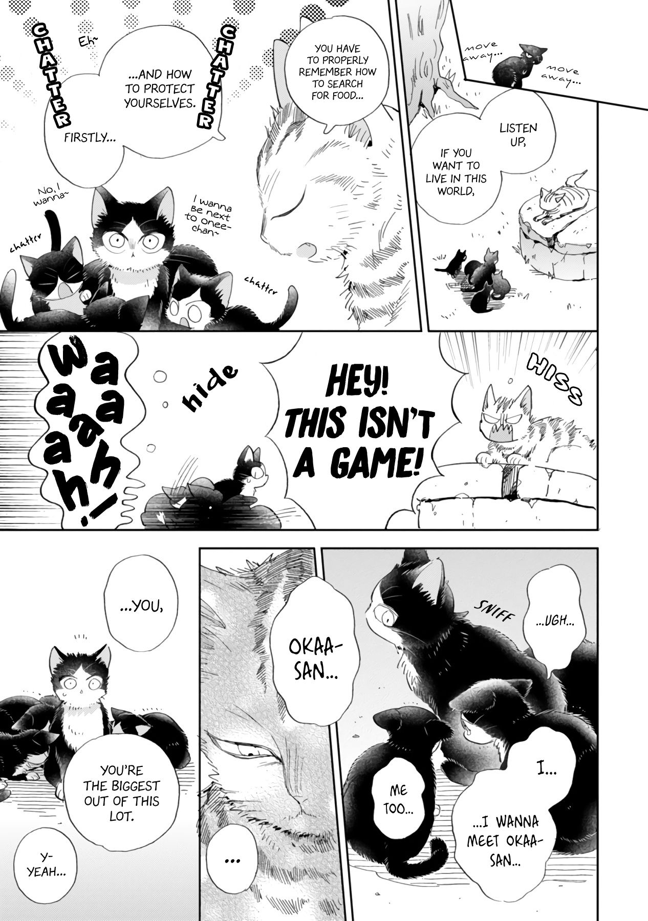 Page 13 of Chapter 16.2