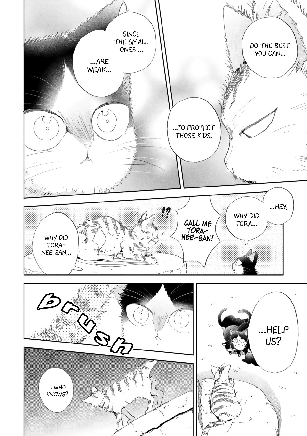 Page 14 of Chapter 16.2