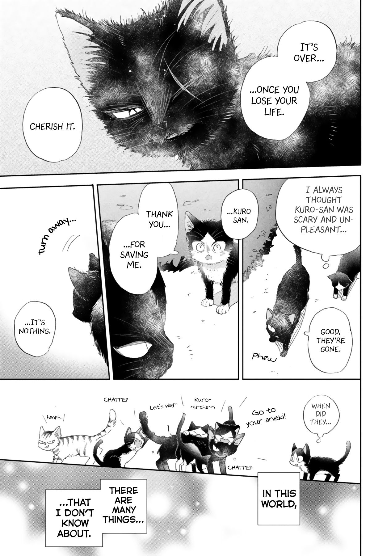 Page 17 of Chapter 16.2