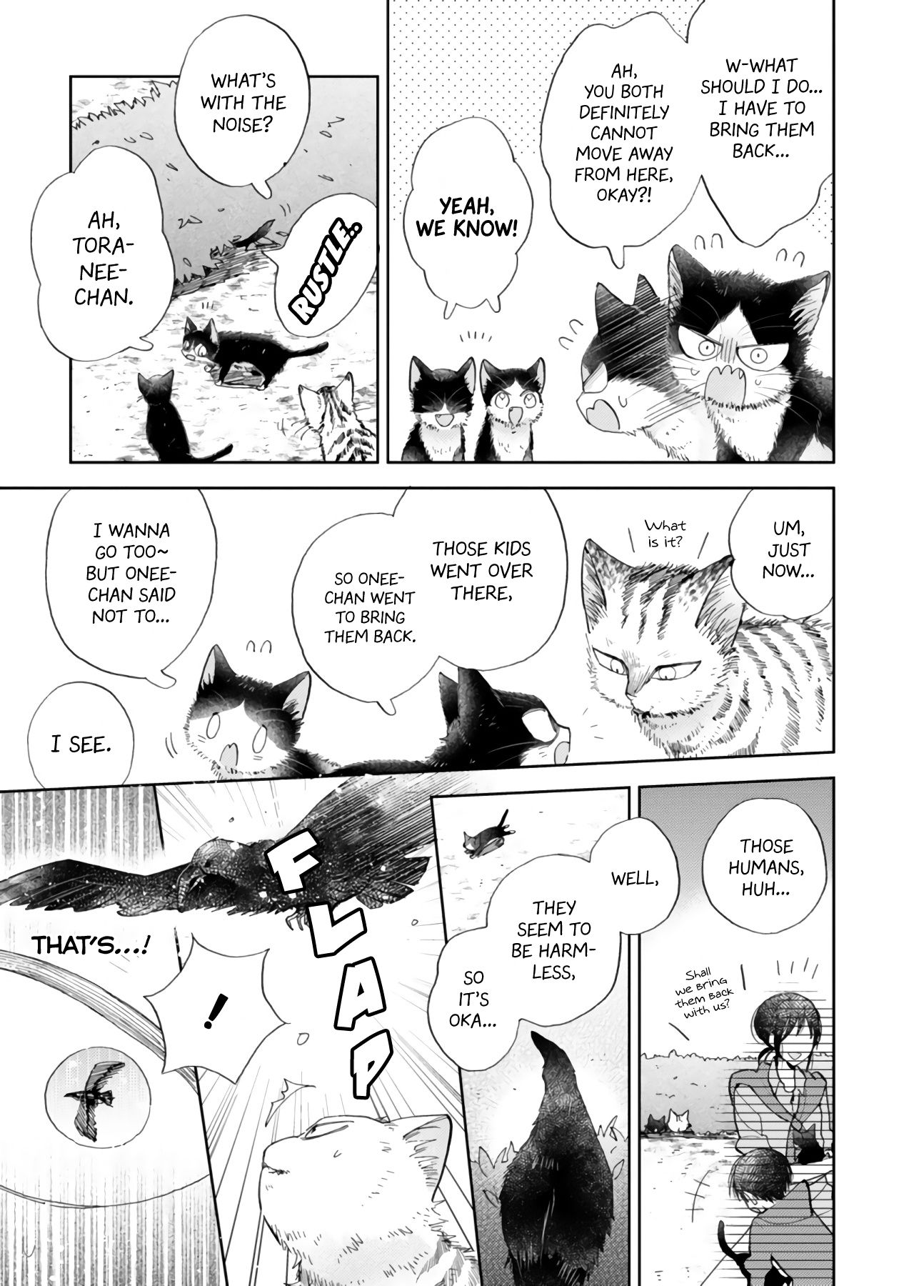 Page 19 of Chapter 16.2