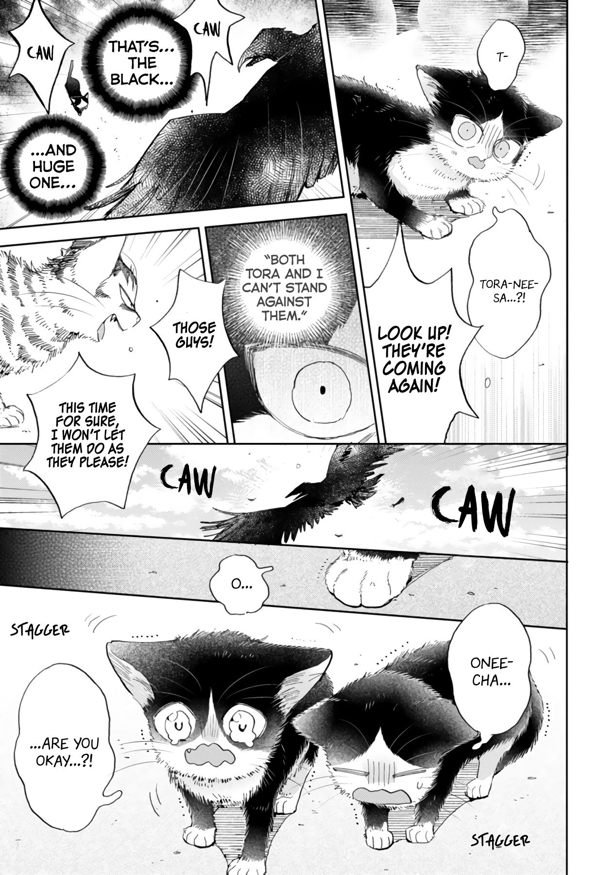 Page 21 of Chapter 16.2