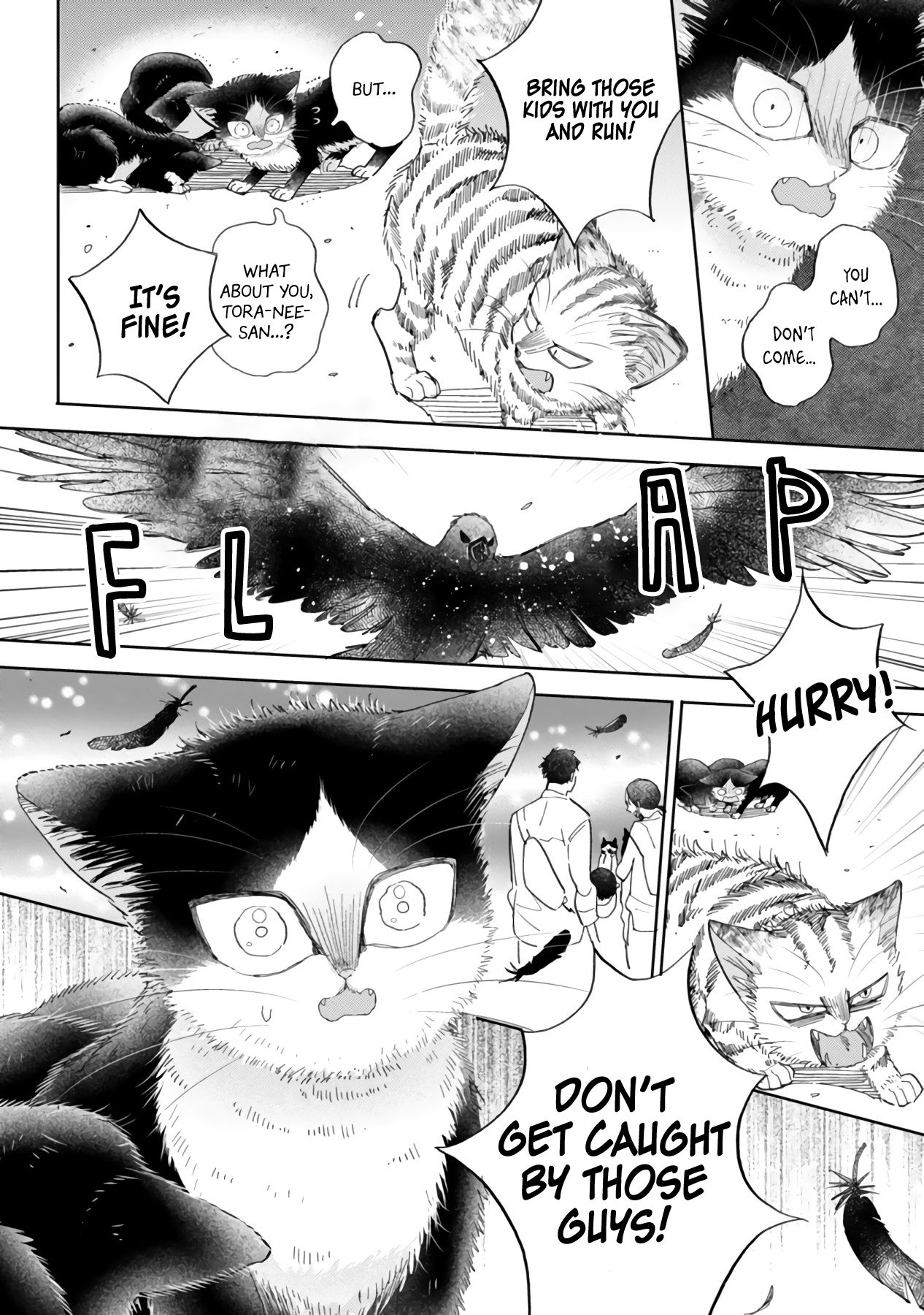 Page 22 of Chapter 16.2