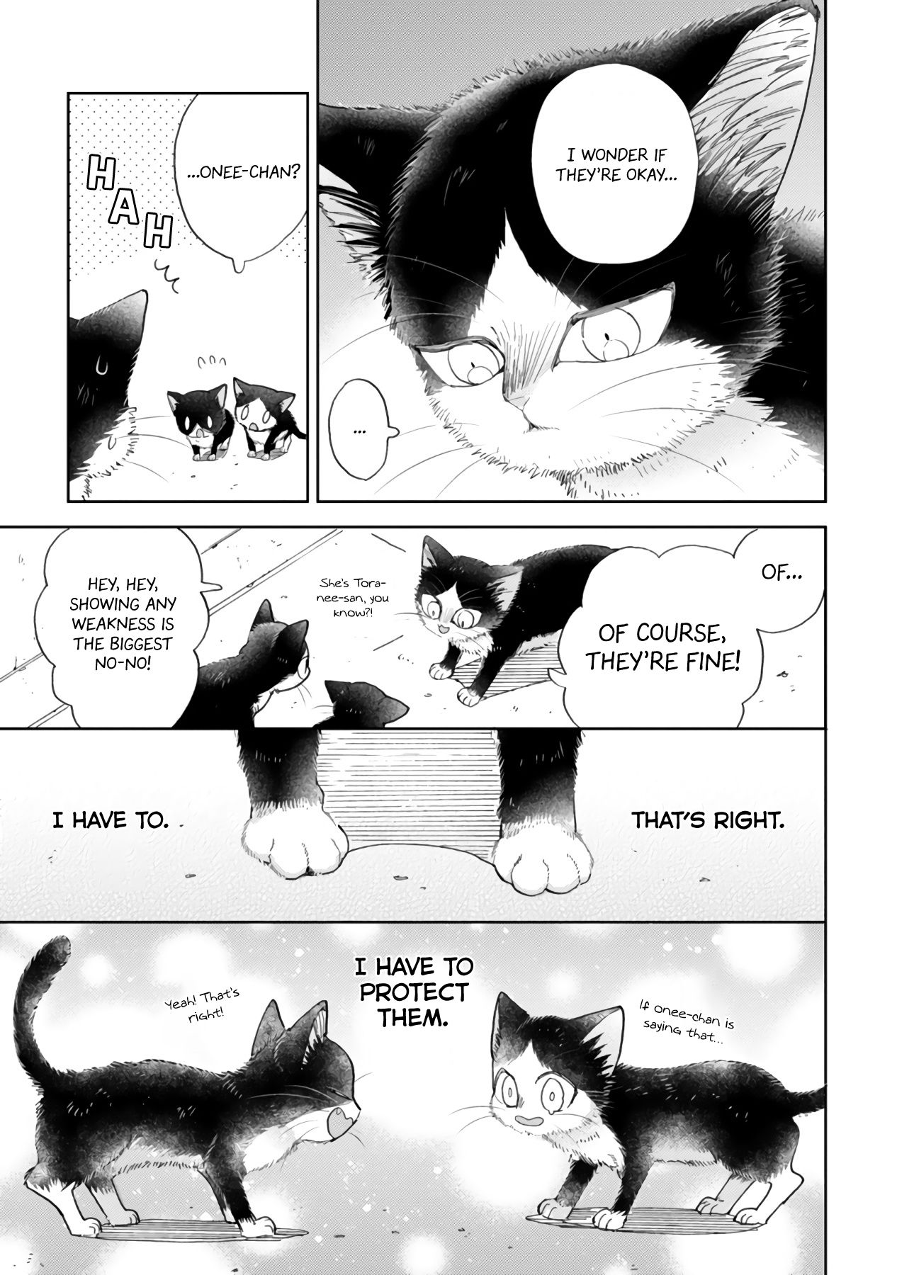 Page 25 of Chapter 16.2