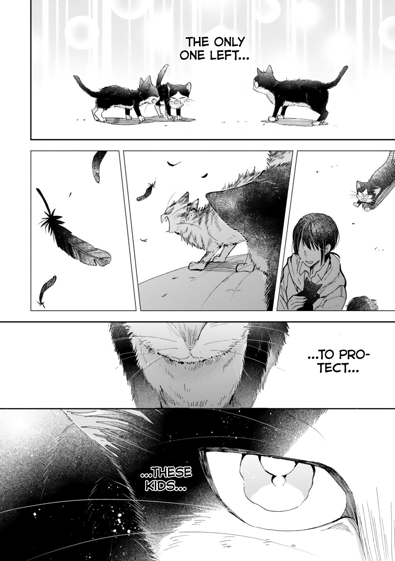 Page 26 of Chapter 16.2
