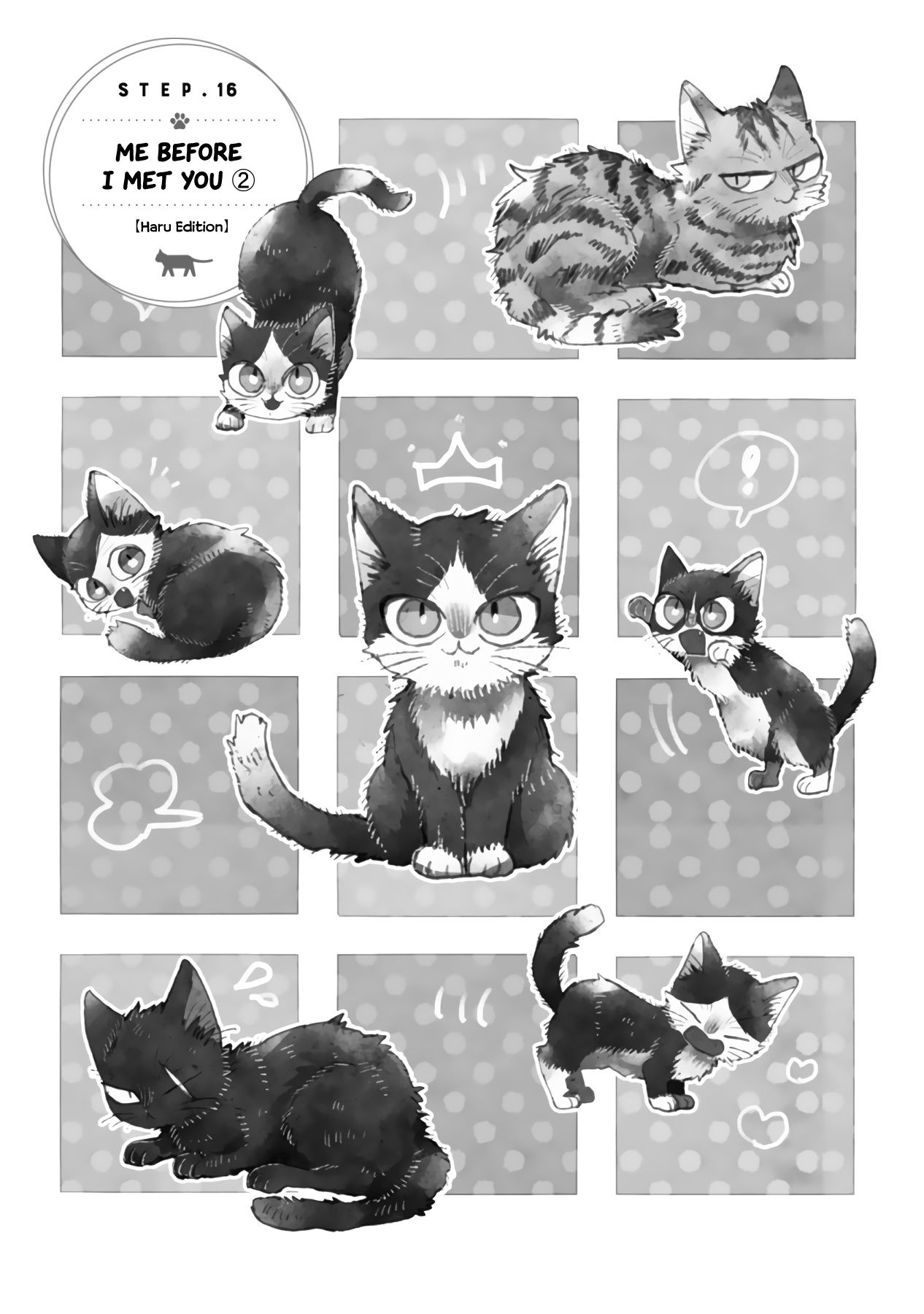 Page 3 of Chapter 16.3