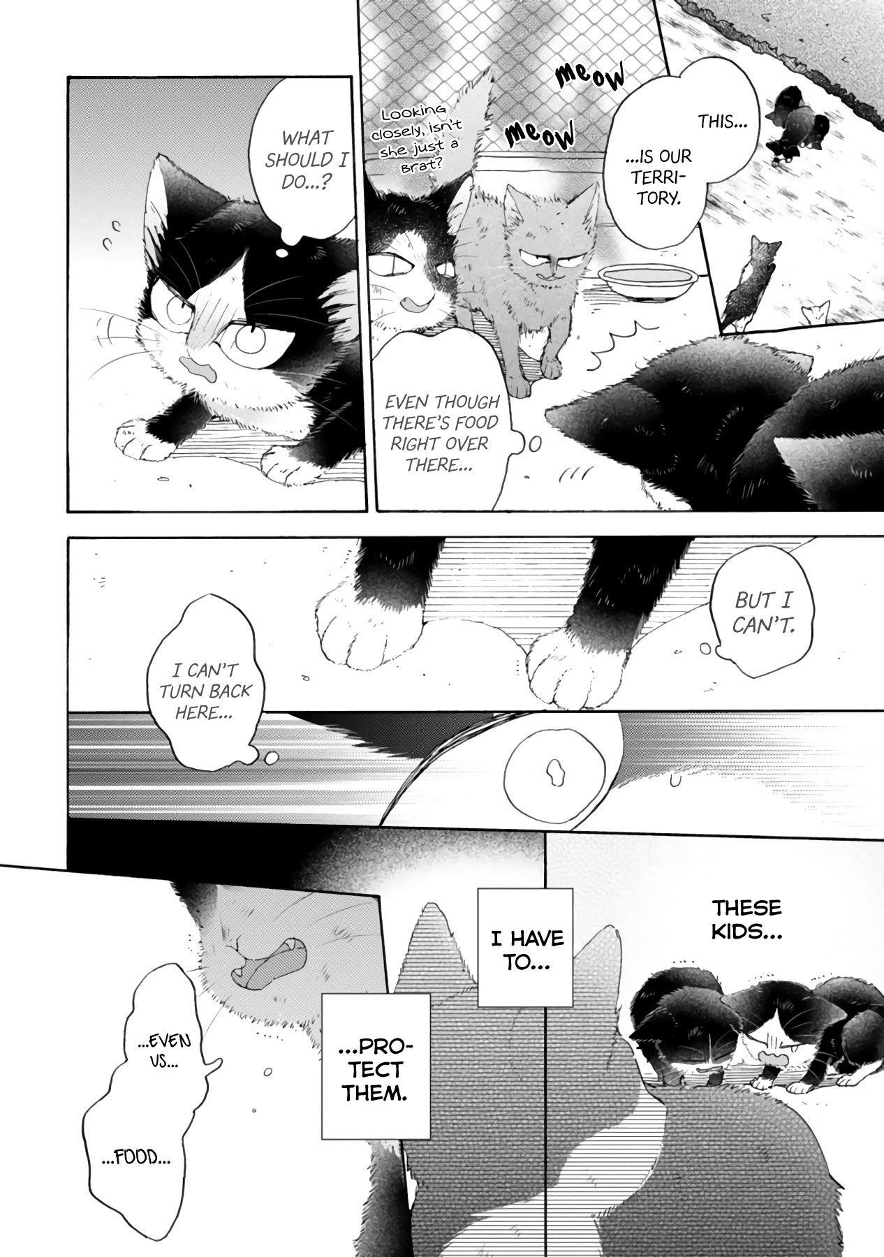 Page 4 of Chapter 16.3