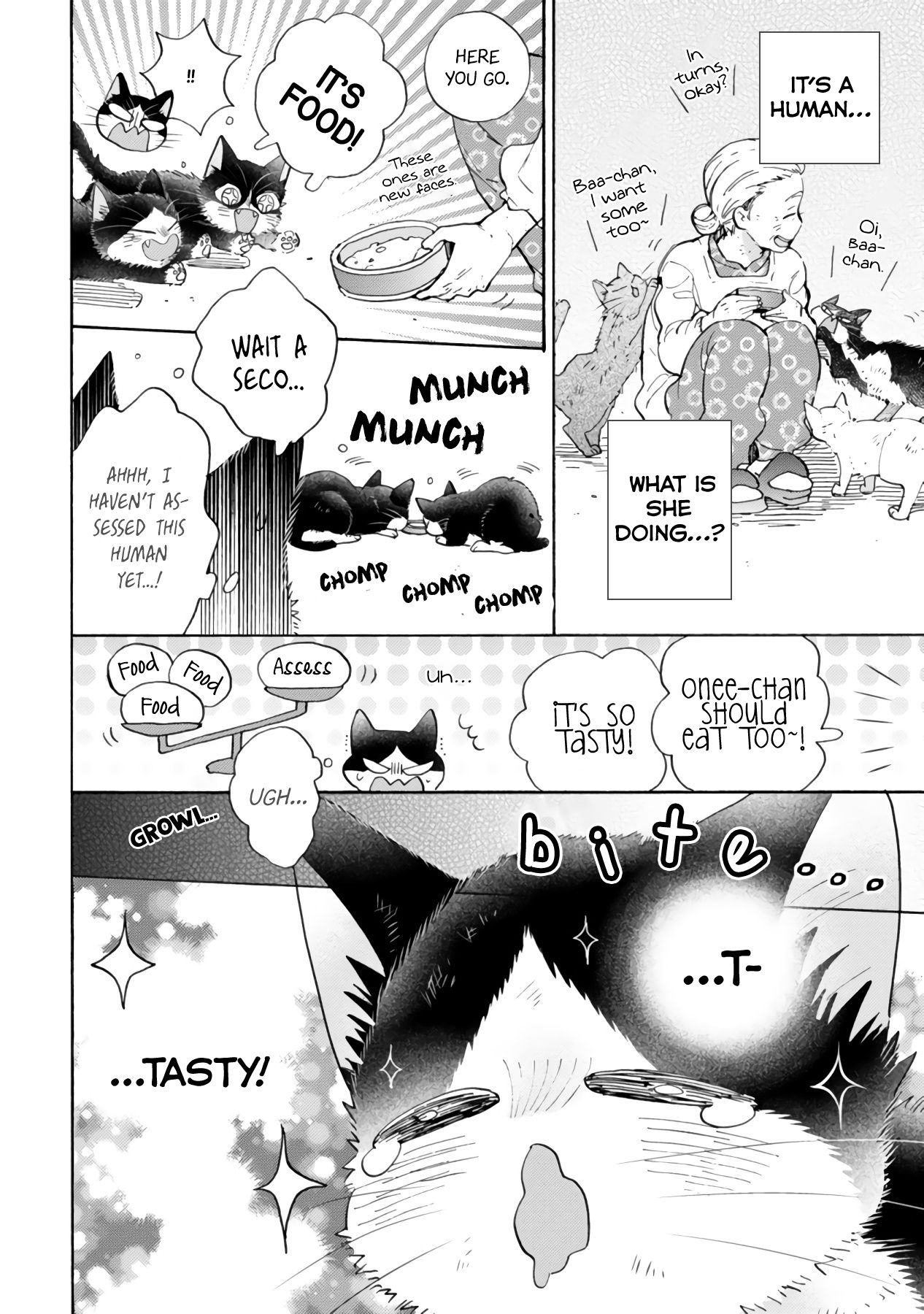 Page 6 of Chapter 16.3