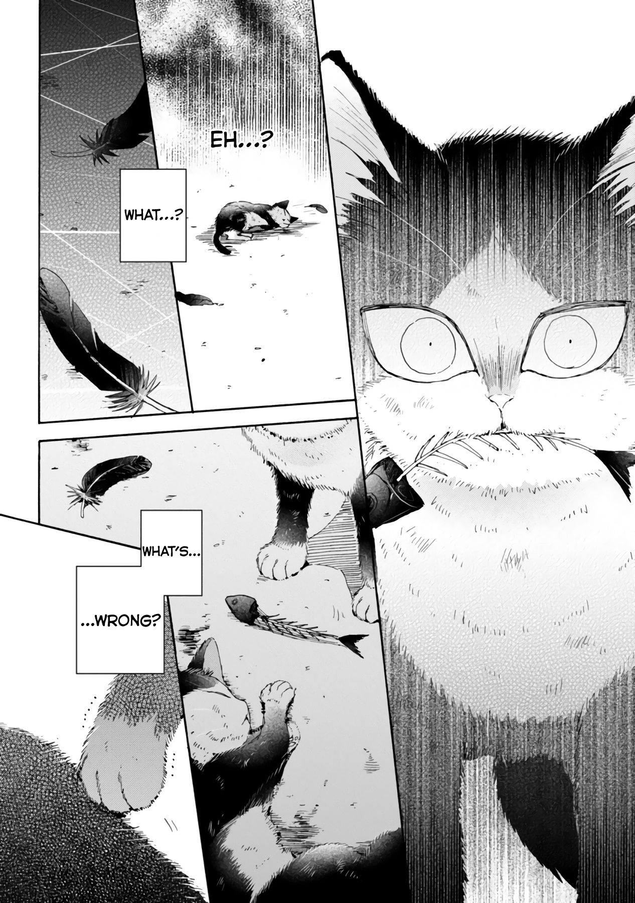 Page 12 of Chapter 16.3