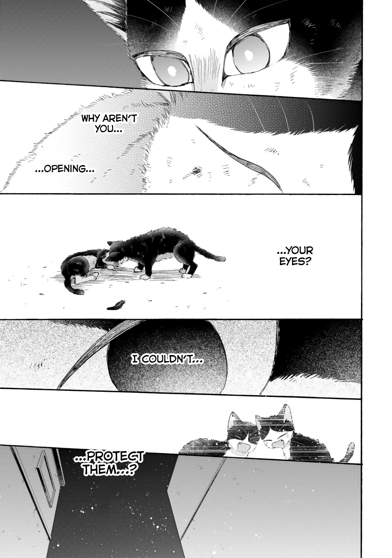 Page 13 of Chapter 16.3