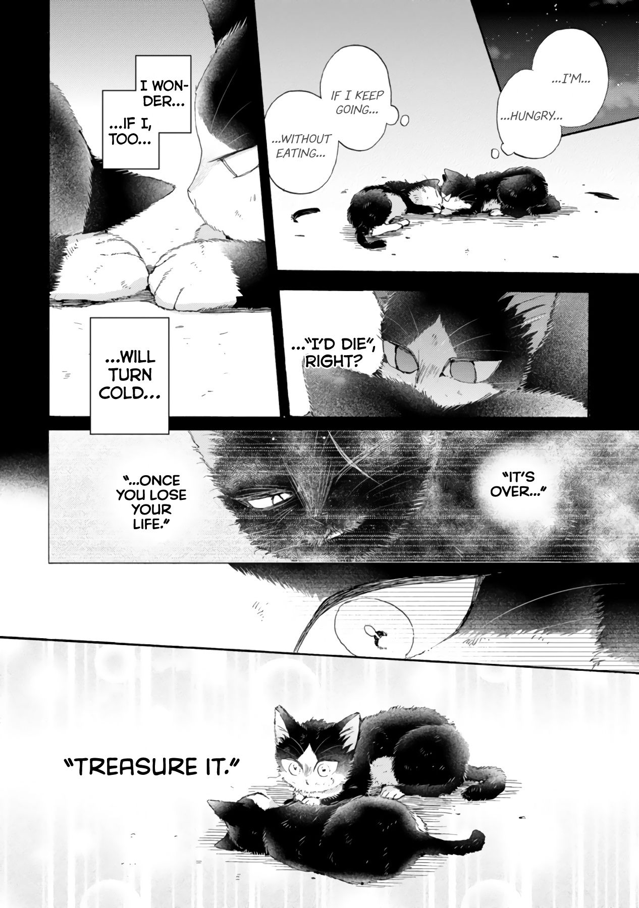Page 14 of Chapter 16.3