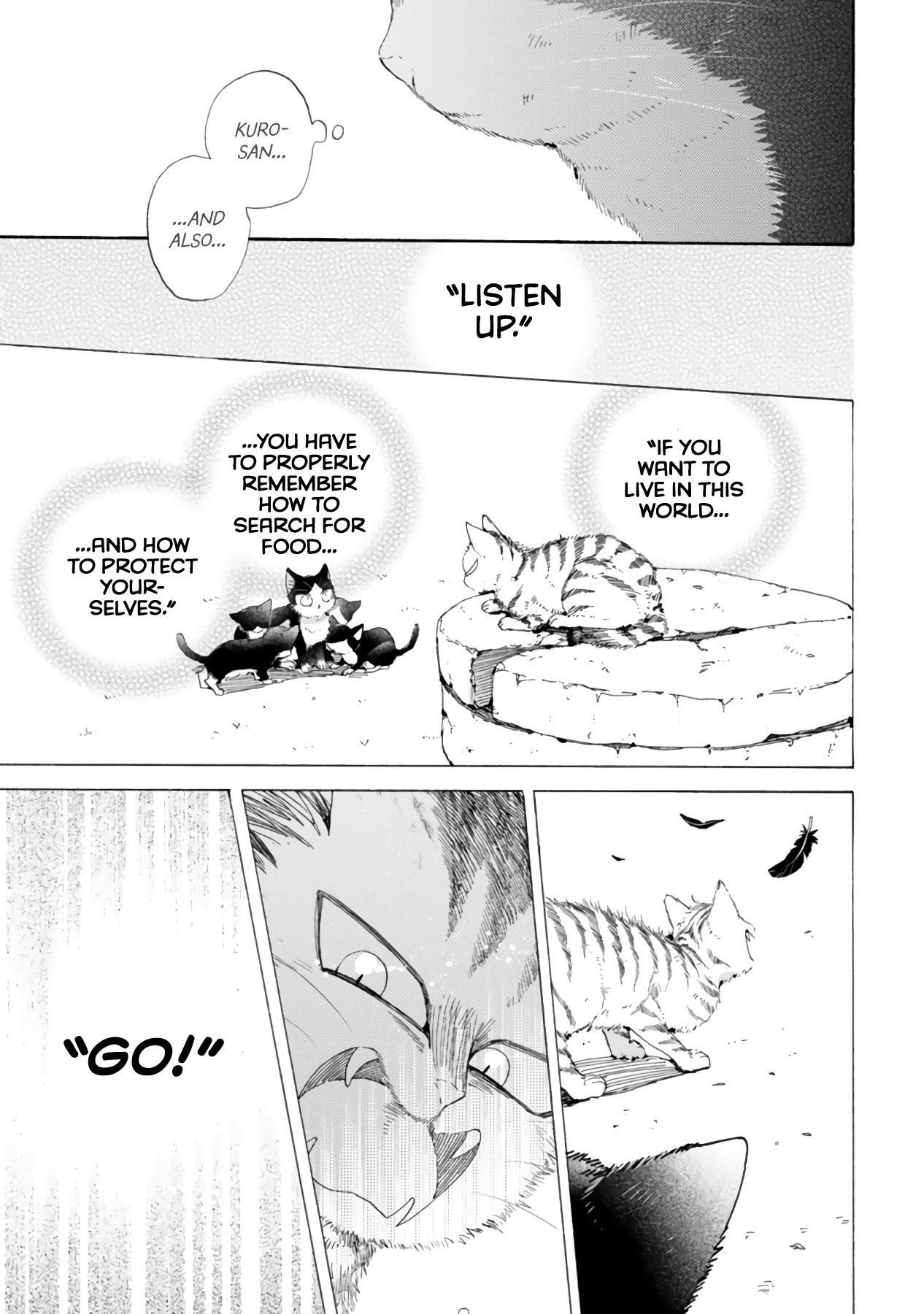 Page 15 of Chapter 16.3