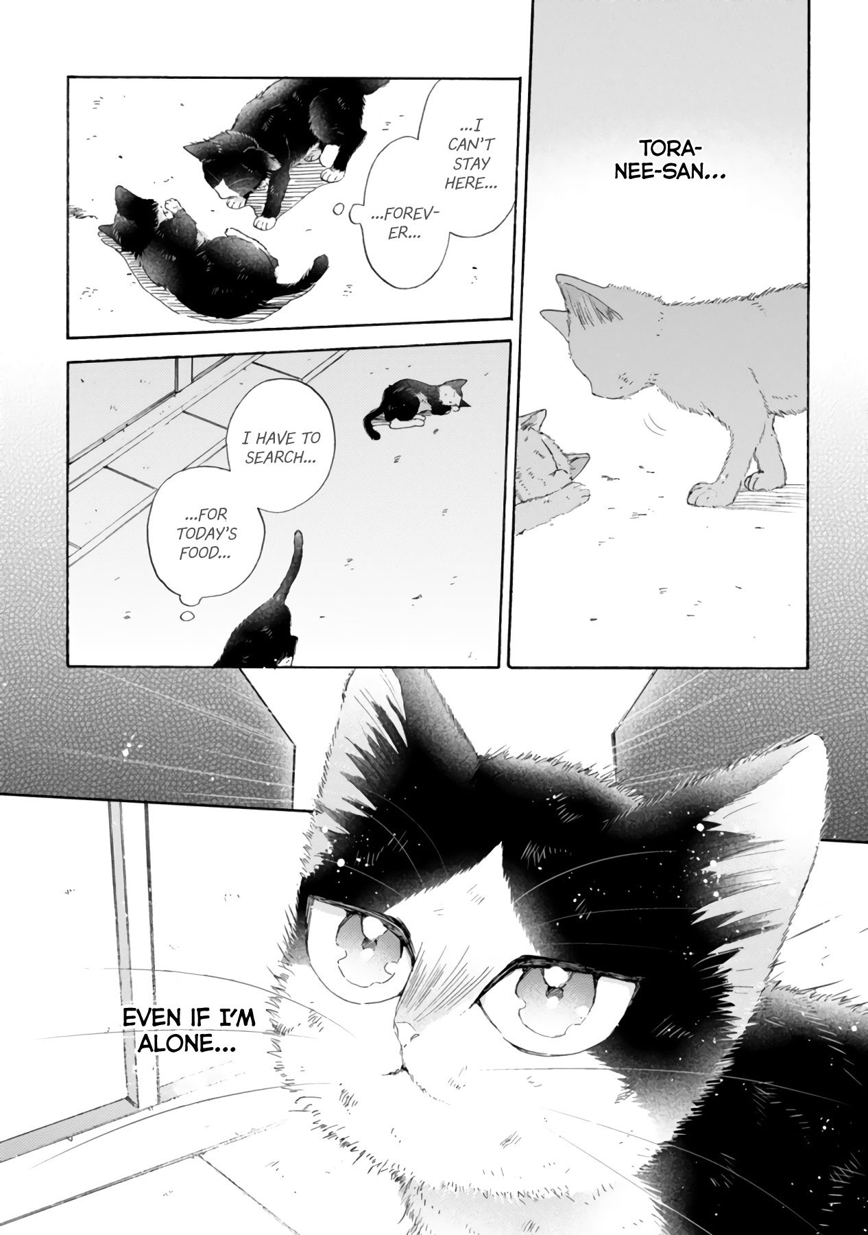 Page 16 of Chapter 16.3