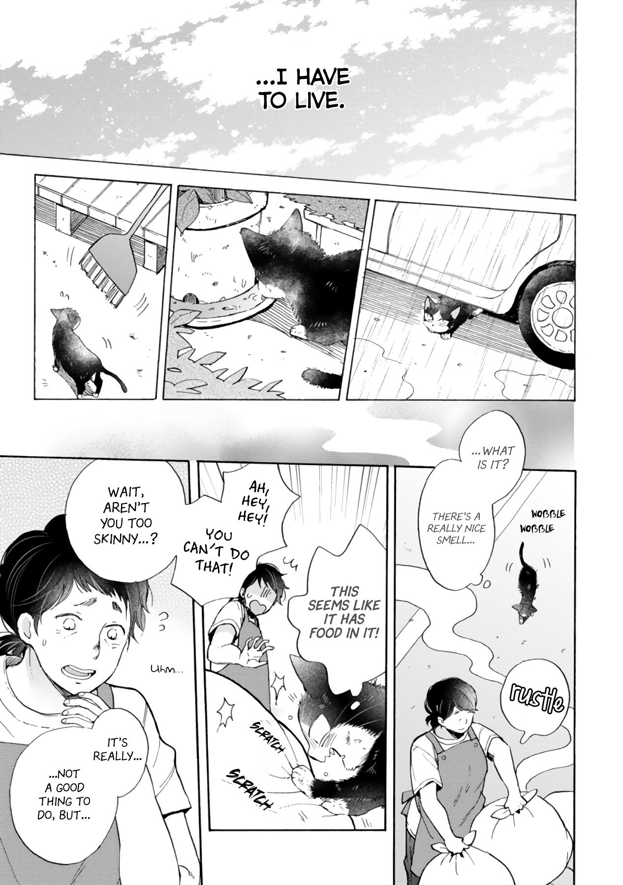 Page 17 of Chapter 16.3