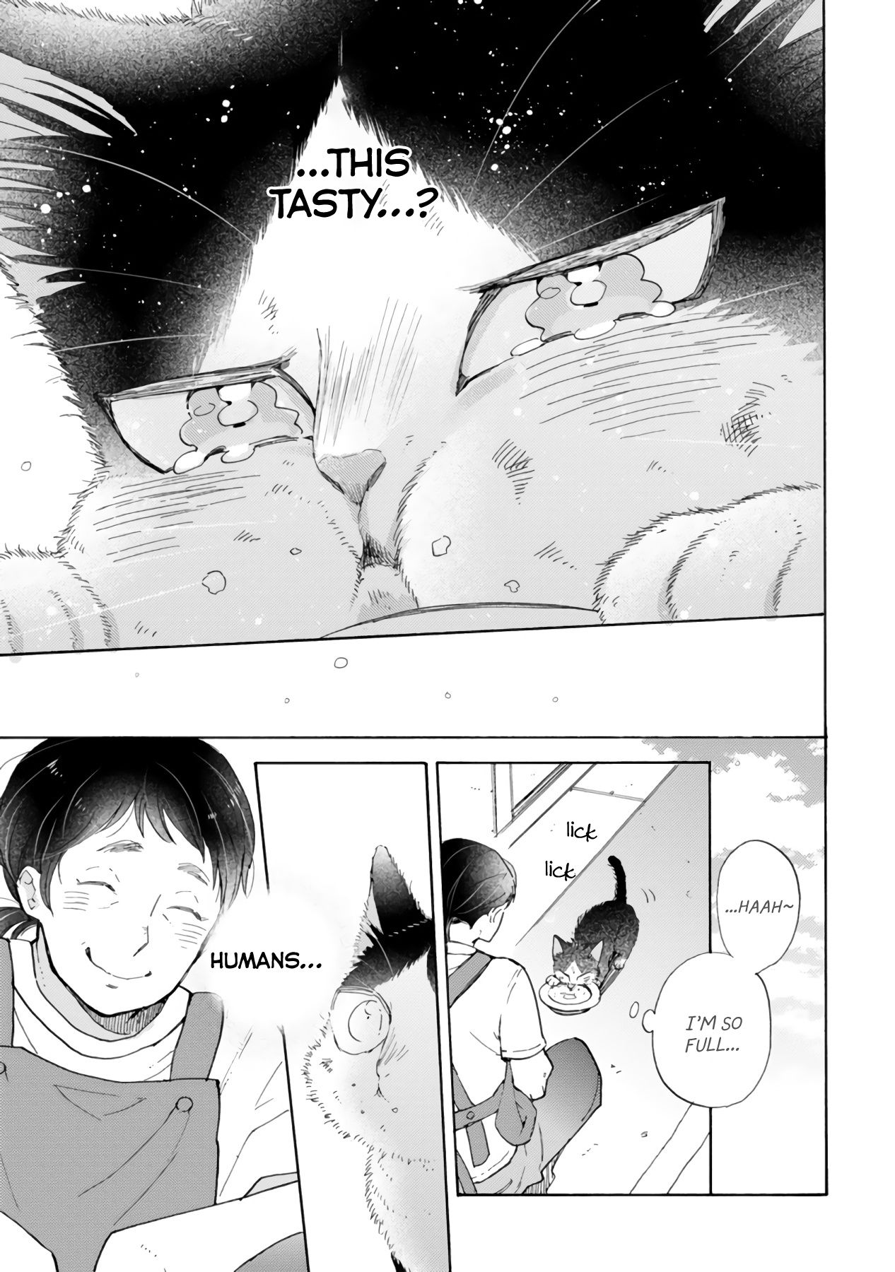 Page 19 of Chapter 16.3