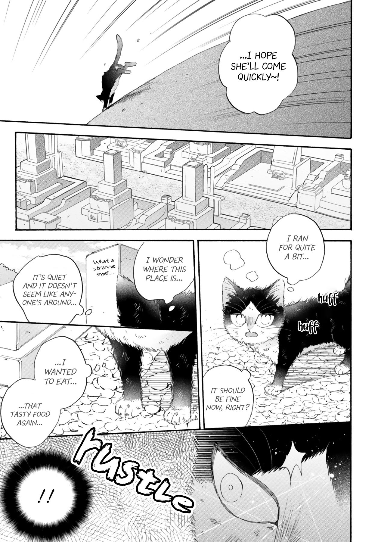 Page 23 of Chapter 16.3
