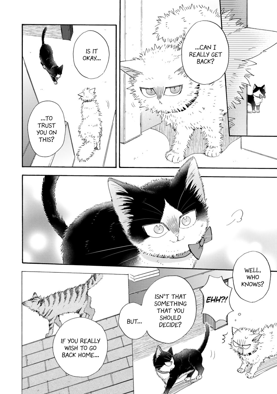 Page 14 of Chapter 17.2