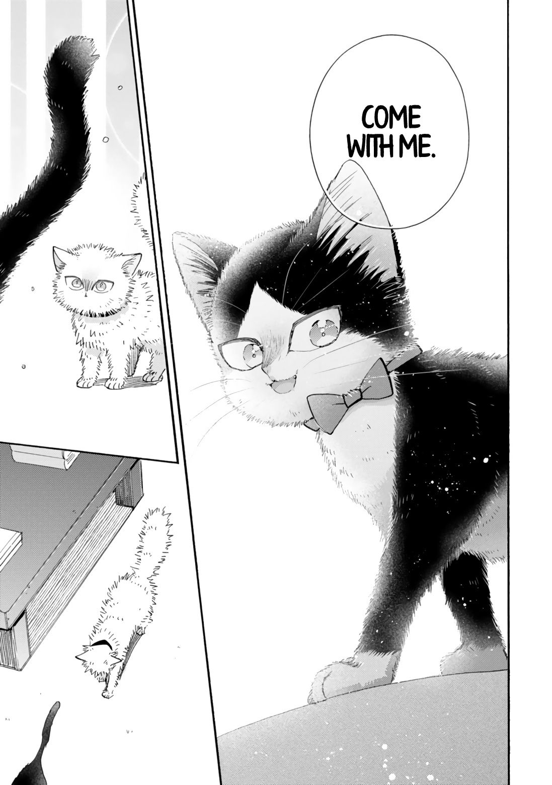 Page 15 of Chapter 17.2