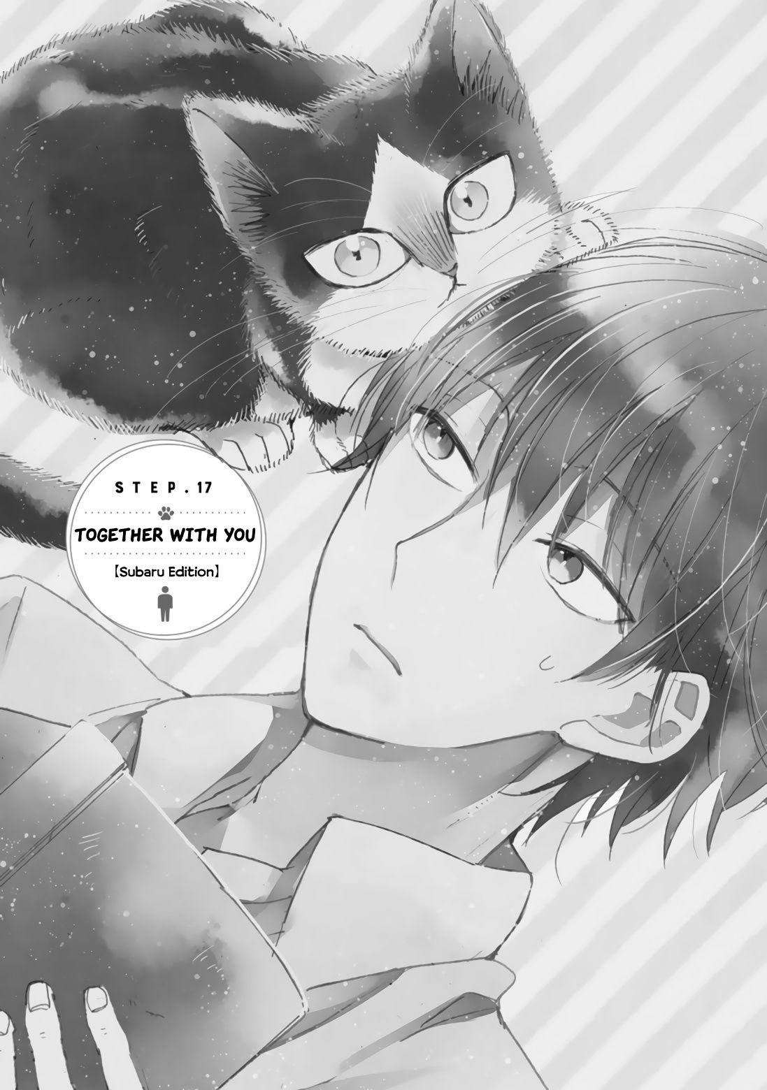 Page 3 of Chapter 17.1