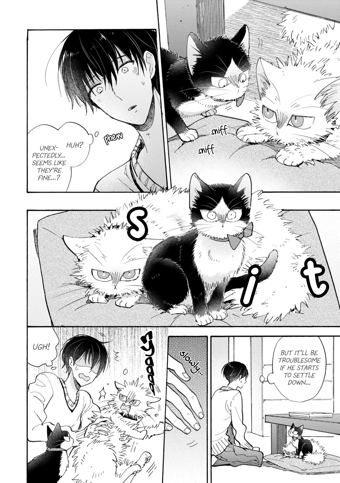 Page 8 of Chapter 17.1