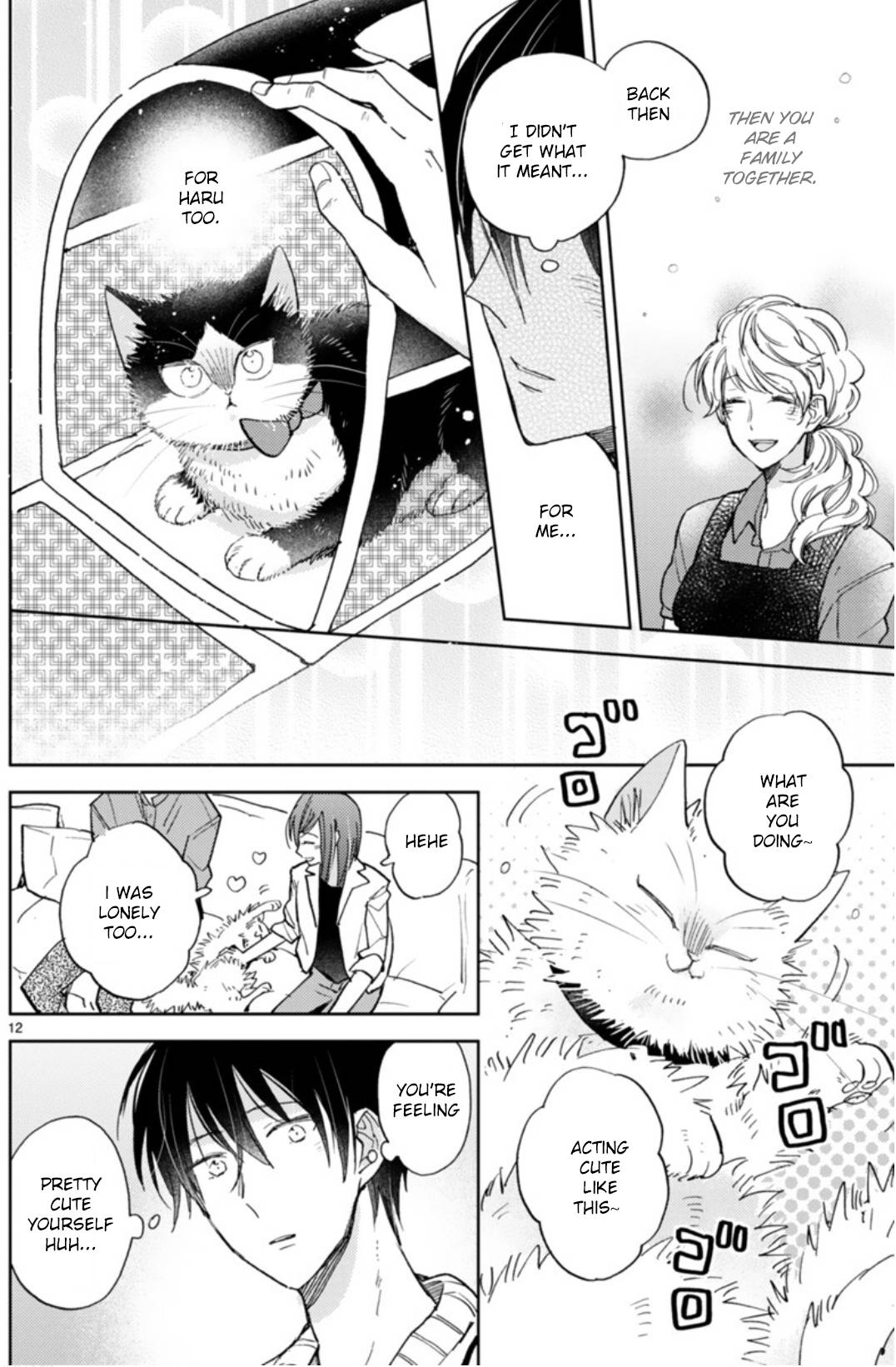Page 17 of Chapter 18.1