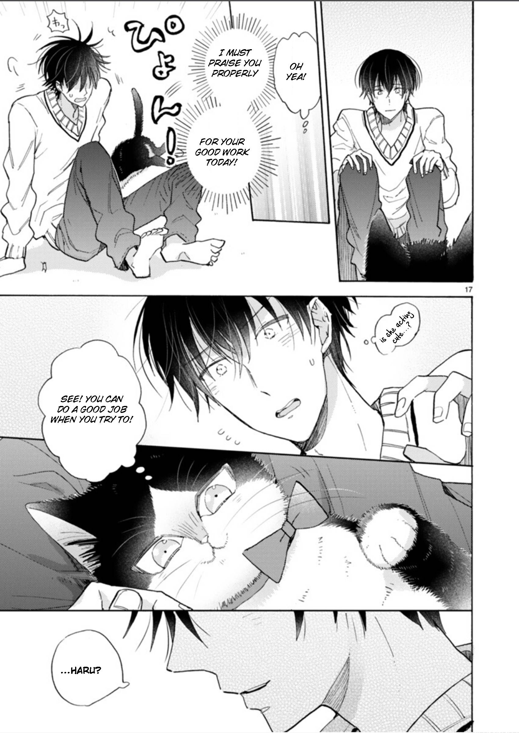 Page 17 of Chapter 18.2